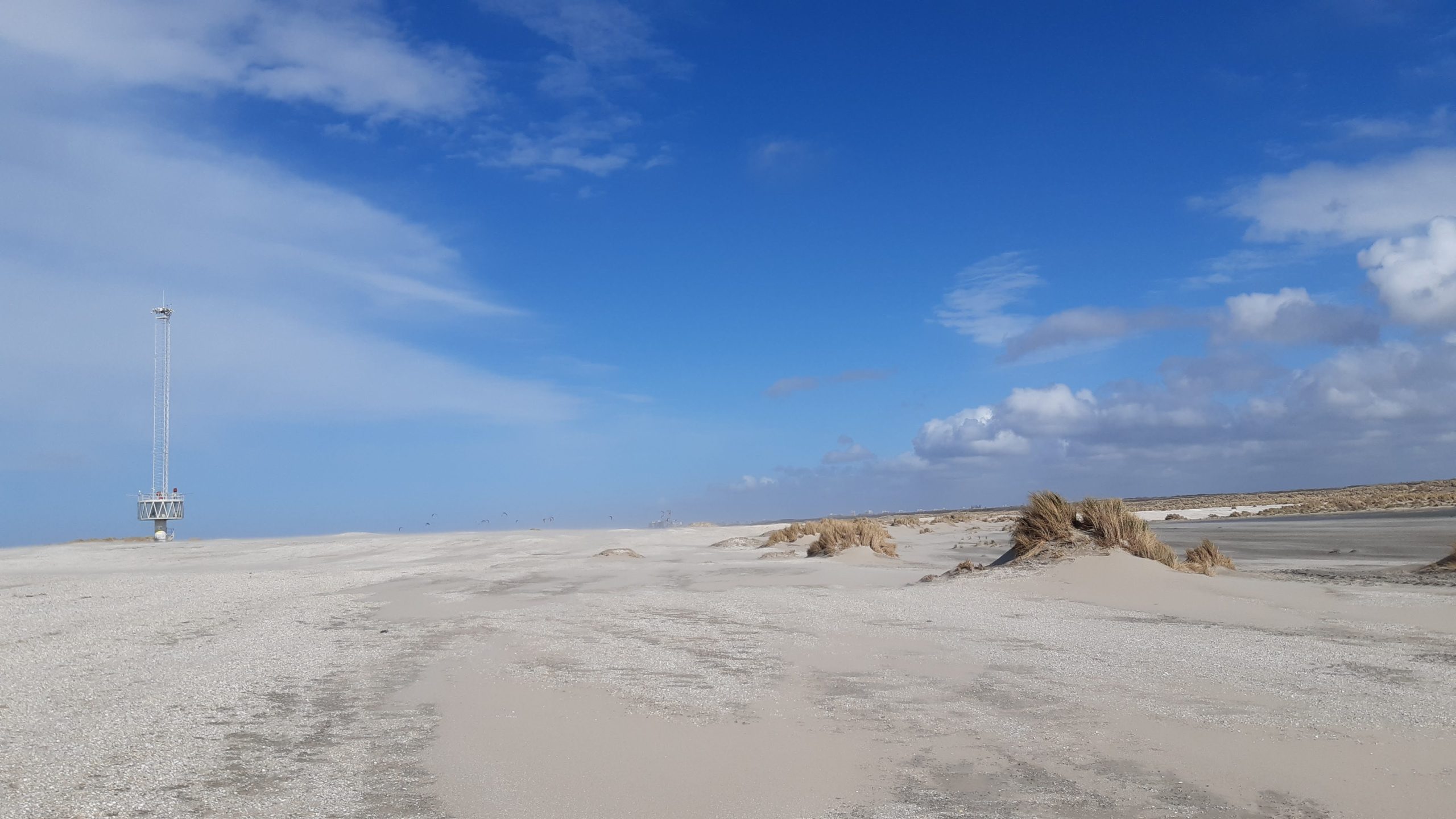 1. Hoek van Holland – Kijkduin: Strandwandeling (12 km)